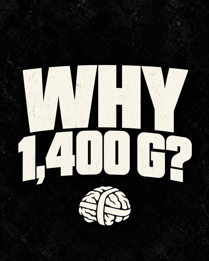 Why 1,400 G Thought Dealer artwork